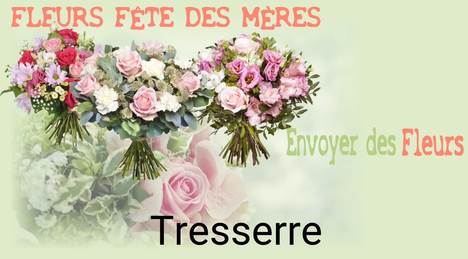 Bouquet de Fête des Mères livré à Tresserre